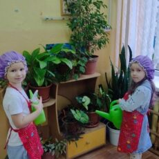 Наши будни: «Трудовое воспитание дошкольников»