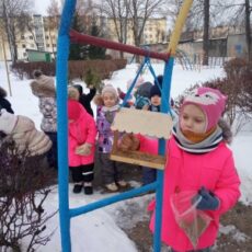 Наши будни: 2я младшая №2 «Покормите птиц зимой!»
