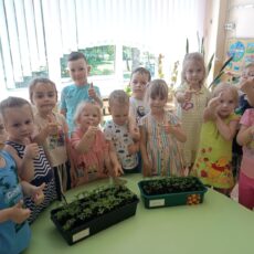 Наши будни: вторая младшая группа №2