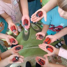 День раскрашенного камушка