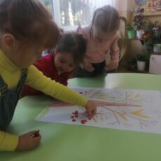 Ягодки рябины для наших птиц