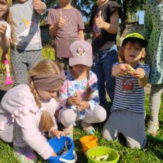 Собираем урожай