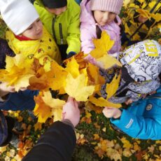 Осенние краски