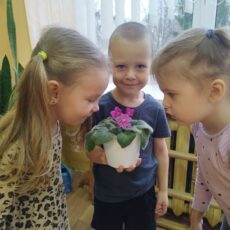 Ухаживаем за комнатными растениями